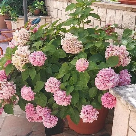 In With Terrace, Air Conditioning, Wifi, Washing Machine 4199-5