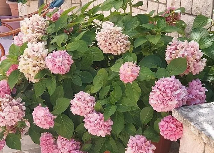 In With Terrace, Air Conditioning, Wifi, Washing Machine 4199-5